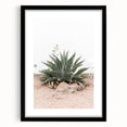 Farmhouse Wall Art - Desert Agave Plant for Rustic Country Decor