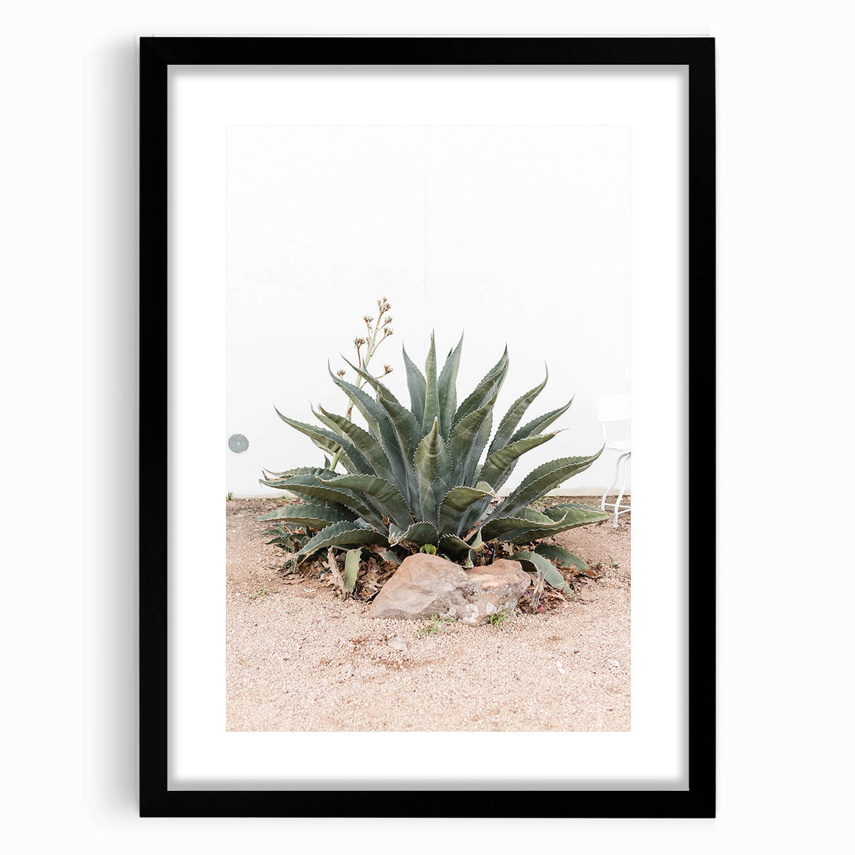 Farmhouse Wall Art - Desert Agave Plant for Rustic Country Decor