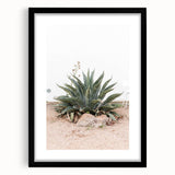 Farmhouse Wall Art - Desert Agave Plant for Rustic Country Decor