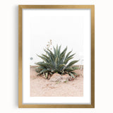 Farmhouse Wall Art - Desert Agave Plant for Rustic Country Decor