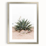 Farmhouse Wall Art - Desert Agave Plant for Rustic Country Decor