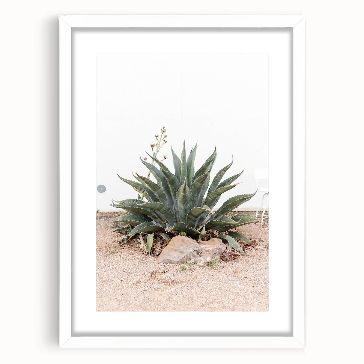 Farmhouse Wall Art - Desert Agave Plant for Rustic Country Decor