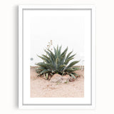 Farmhouse Wall Art - Desert Agave Plant for Rustic Country Decor