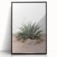 Farmhouse Wall Art - Desert Agave Plant for Rustic Country Decor