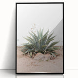 Farmhouse Wall Art - Desert Agave Plant for Rustic Country Decor
