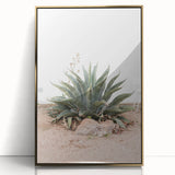 Farmhouse Wall Art - Desert Agave Plant for Rustic Country Decor