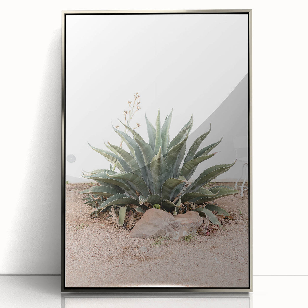 Farmhouse Wall Art - Desert Agave Plant for Rustic Country Decor