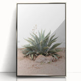 Farmhouse Wall Art - Desert Agave Plant for Rustic Country Decor
