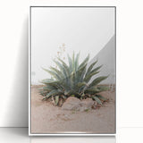 Farmhouse Wall Art - Desert Agave Plant for Rustic Country Decor