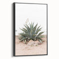Farmhouse Wall Art - Desert Agave Plant for Rustic Country Decor