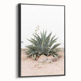 Farmhouse Wall Art - Desert Agave Plant for Rustic Country Decor