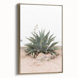 Farmhouse Wall Art - Desert Agave Plant for Rustic Country Decor