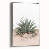 Farmhouse Wall Art - Desert Agave Plant for Rustic Country Decor