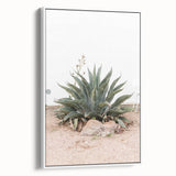 Farmhouse Wall Art - Desert Agave Plant for Rustic Country Decor