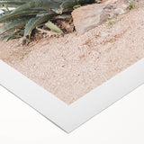 Farmhouse Wall Art - Desert Agave Plant for Rustic Country Decor