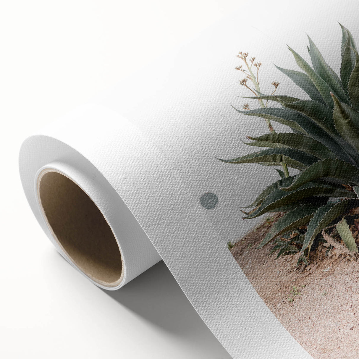 Farmhouse Wall Art - Desert Agave Plant for Rustic Country Decor