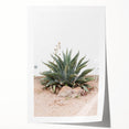 Farmhouse Wall Art - Desert Agave Plant for Rustic Country Decor