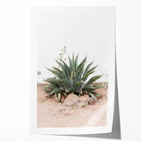 Farmhouse Wall Art - Desert Agave Plant for Rustic Country Decor