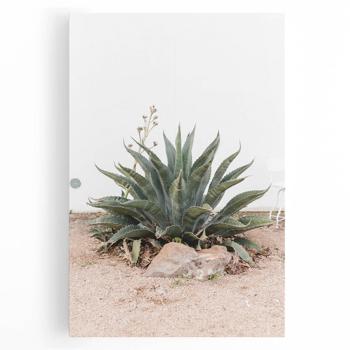 Farmhouse Wall Art - Desert Agave Plant for Rustic Country Decor