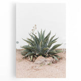 Farmhouse Wall Art - Desert Agave Plant for Rustic Country Decor