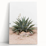 Farmhouse Wall Art - Desert Agave Plant for Rustic Country Decor