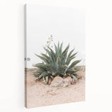 Farmhouse Wall Art - Desert Agave Plant for Rustic Country Decor