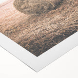 Farmhouse Wall Art - Rustic Hay Bale in Field for Country Style Decor