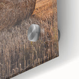 Farmhouse Wall Art - Hay Bale at Sunset for Rustic Country Decor