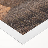 Farmhouse Wall Art - Hay Bale at Sunset for Rustic Country Decor