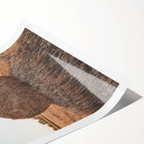 Farmhouse Wall Art - Hay Bale at Sunset for Rustic Country Decor