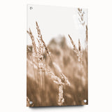 Farmhouse Wall Art - Wheat Field Close-up for Rustic Country Decor