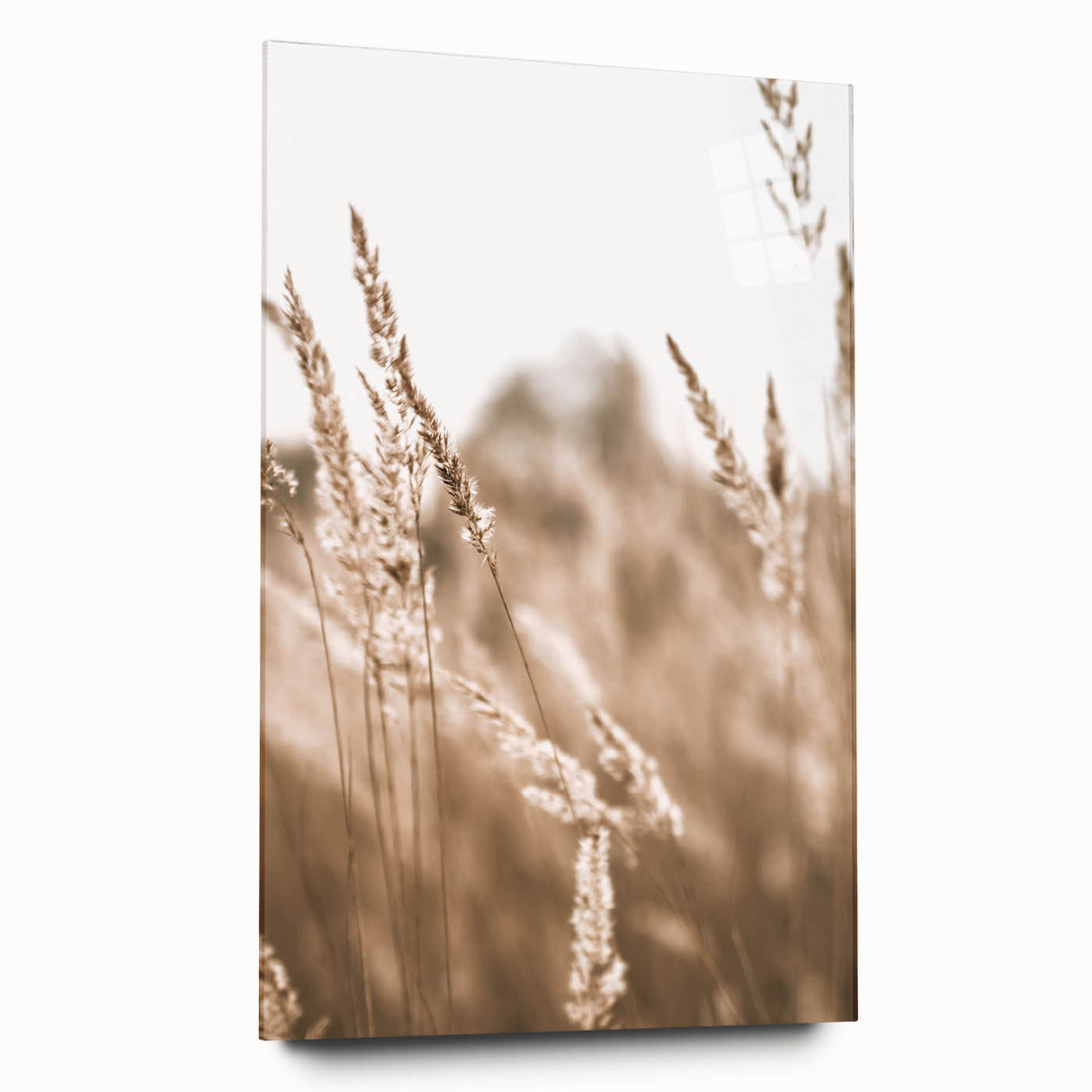 Farmhouse Wall Art - Wheat Field Close-up for Rustic Country Decor