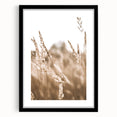 Farmhouse Wall Art - Wheat Field Close-up for Rustic Country Decor