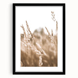 Farmhouse Wall Art - Wheat Field Close-up for Rustic Country Decor