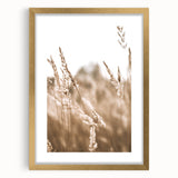 Farmhouse Wall Art - Wheat Field Close-up for Rustic Country Decor