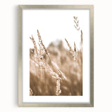 Farmhouse Wall Art - Wheat Field Close-up for Rustic Country Decor