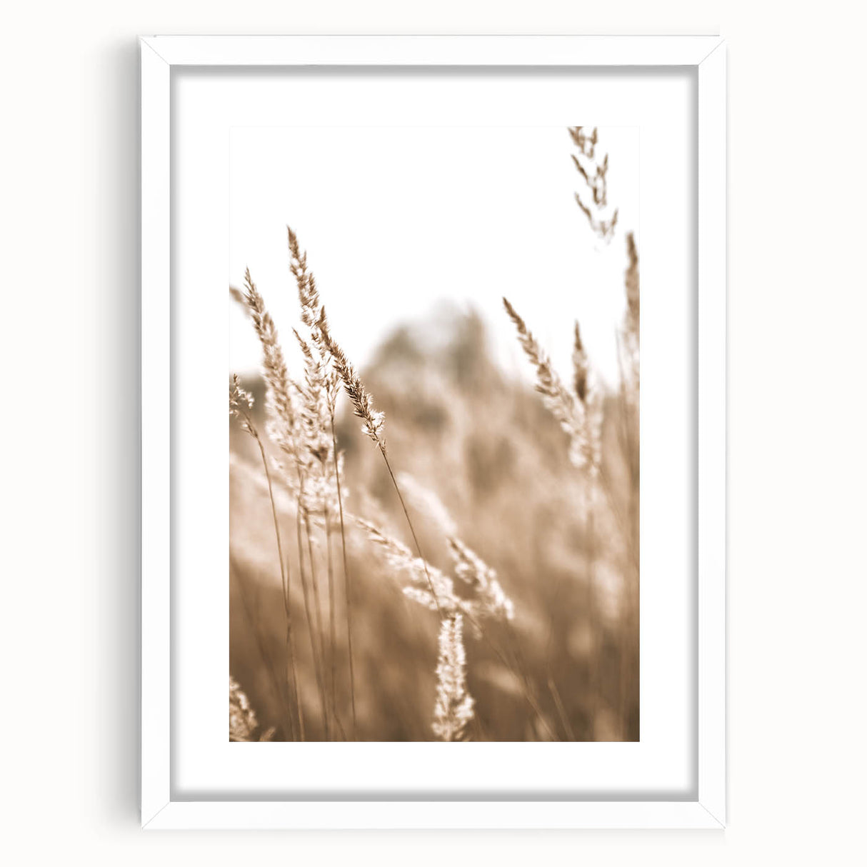 Farmhouse Wall Art - Wheat Field Close-up for Rustic Country Decor