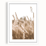Farmhouse Wall Art - Wheat Field Close-up for Rustic Country Decor