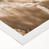 Farmhouse Wall Art - Wheat Field Close-up for Rustic Country Decor