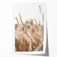 Farmhouse Wall Art - Wheat Field Close-up for Rustic Country Decor