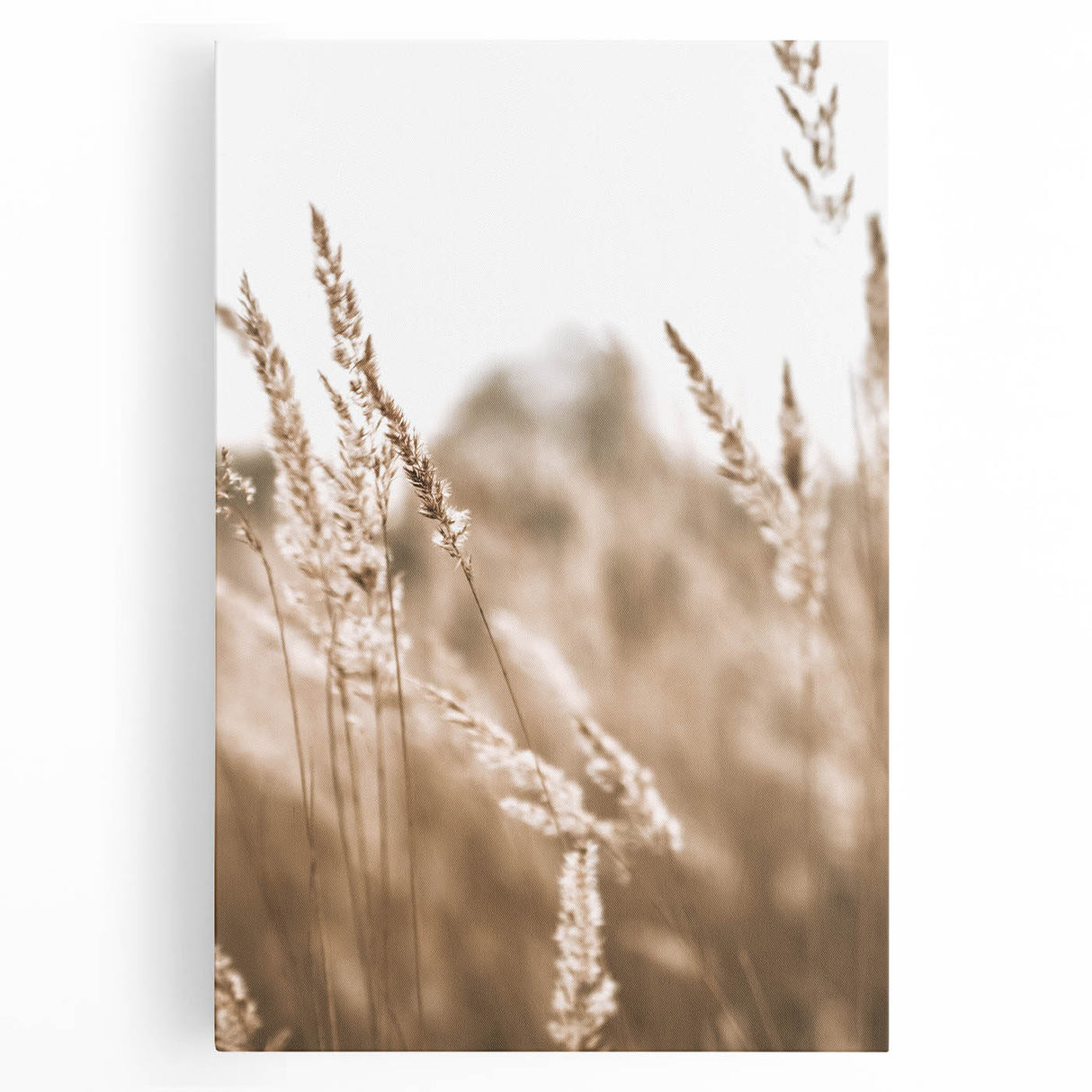 Farmhouse Wall Art - Wheat Field Close-up for Rustic Country Decor