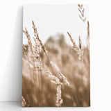 Farmhouse Wall Art - Wheat Field Close-up for Rustic Country Decor