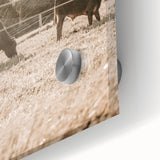 Farmhouse Wall Art - Cows Grazing in Pasture for Rustic Country Decor