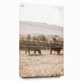 Farmhouse Wall Art - Cows Grazing in Pasture for Rustic Country Decor