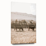 Farmhouse Wall Art - Cows Grazing in Pasture for Rustic Country Decor