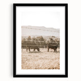 Farmhouse Wall Art - Cows Grazing in Pasture for Rustic Country Decor