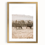 Farmhouse Wall Art - Cows Grazing in Pasture for Rustic Country Decor