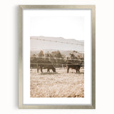 Farmhouse Wall Art - Cows Grazing in Pasture for Rustic Country Decor