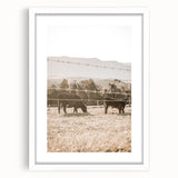 Farmhouse Wall Art - Cows Grazing in Pasture for Rustic Country Decor