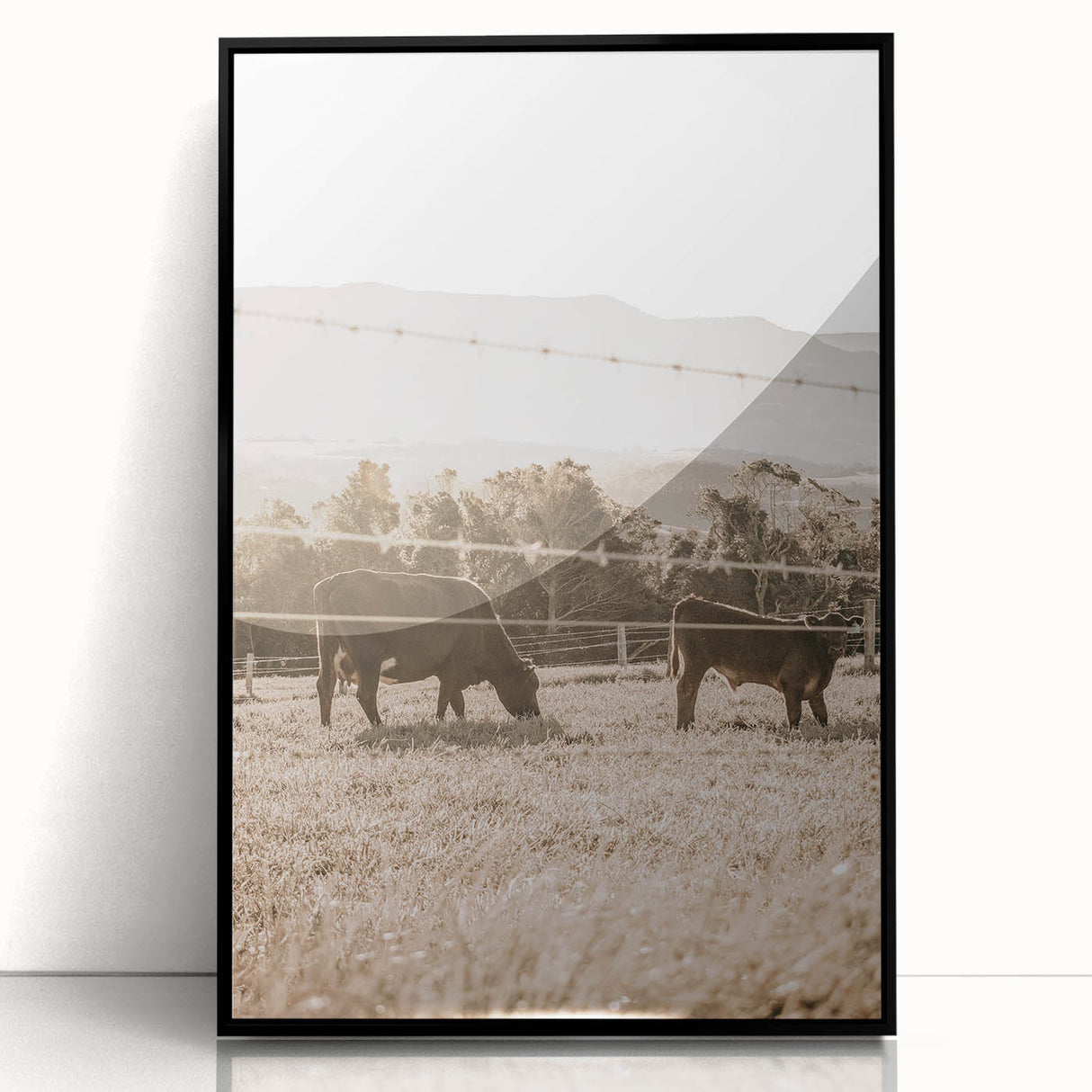 Farmhouse Wall Art - Cows Grazing in Pasture for Rustic Country Decor